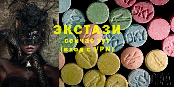 дживик Богородицк