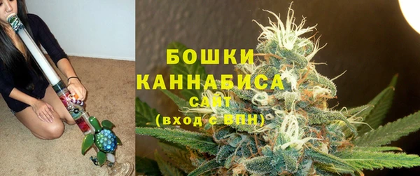 дживик Богородицк